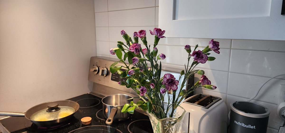 Techncalanimboi's tweet photo. Get yoself flowers ❤️ good morning world, have bloom, and cat https://t.co/3Zicyxln7k