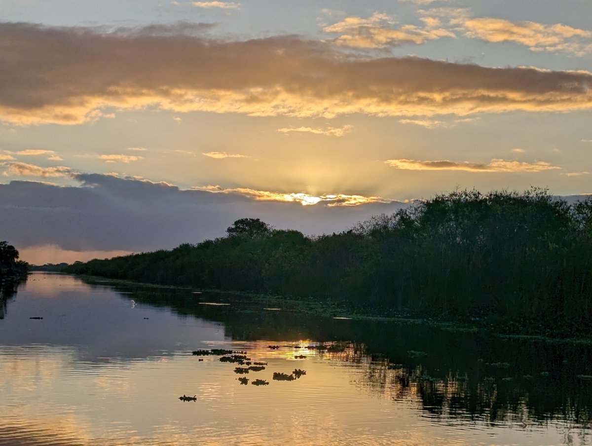 MarkRogersFL's tweet photo. Good morning from the Everglades
#allmarinenaples #seewhatsoutthere #Mercury #fl #everglades https://t.co/1Jy3HHg4La
