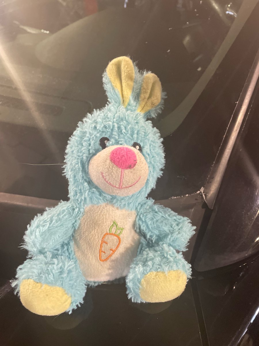 FCPolice's tweet image. Yesterday, officers encountered a lost rabbit in Old Town Fort Collins. It was cold so one officer brought it back to the police station where it was given some hot chocolate and a tour. However, it would like to go home to its owner - if it is yours, give us a call.