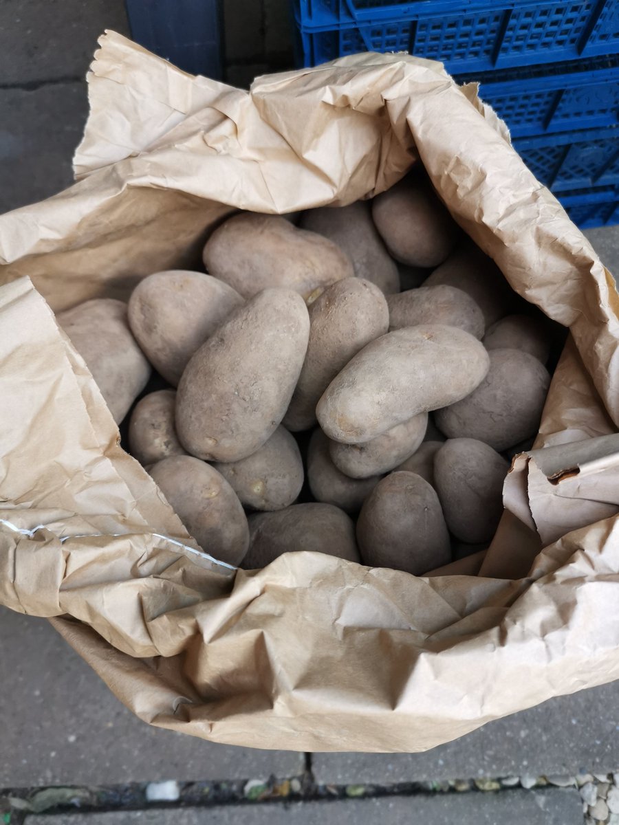 veg_boxes's tweet photo. 24k Wilja potatoes just £8. Collection from Hardwicke https://t.co/AG0fbJO0O7