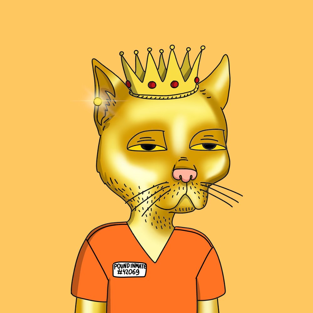 Jimmy “The Vig” Cats tweet media