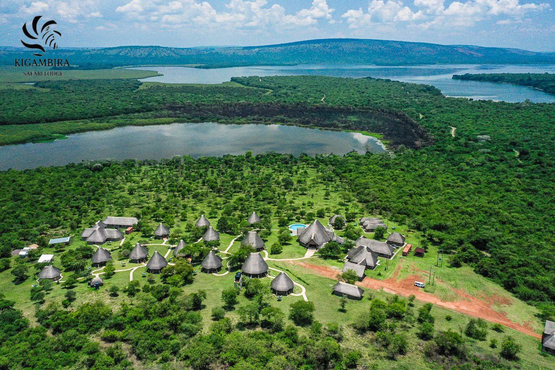 kigambira's tweet photo. Just before the sunsets over #LakeMburo ; you get to experience the beauty from #KigambiraSafariLodge. Book your stay with us and #UnwindInTheWild . 

#travel #safari #nationalpark #Uganda #destinationuganda https://t.co/r30pQARk1n