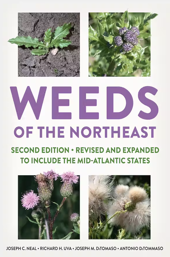 Are you at @WorldofWeeds #WSSA2023 and want to get your hands on the new edition of WEEDS? Order today! cornellpress.cornell.edu/book/978150175…     Releases this Wednesday! 
@NCWeedScience @NE_WeedSci
 #weedscience #weedmanagement #weedresearch #invasiveplants
