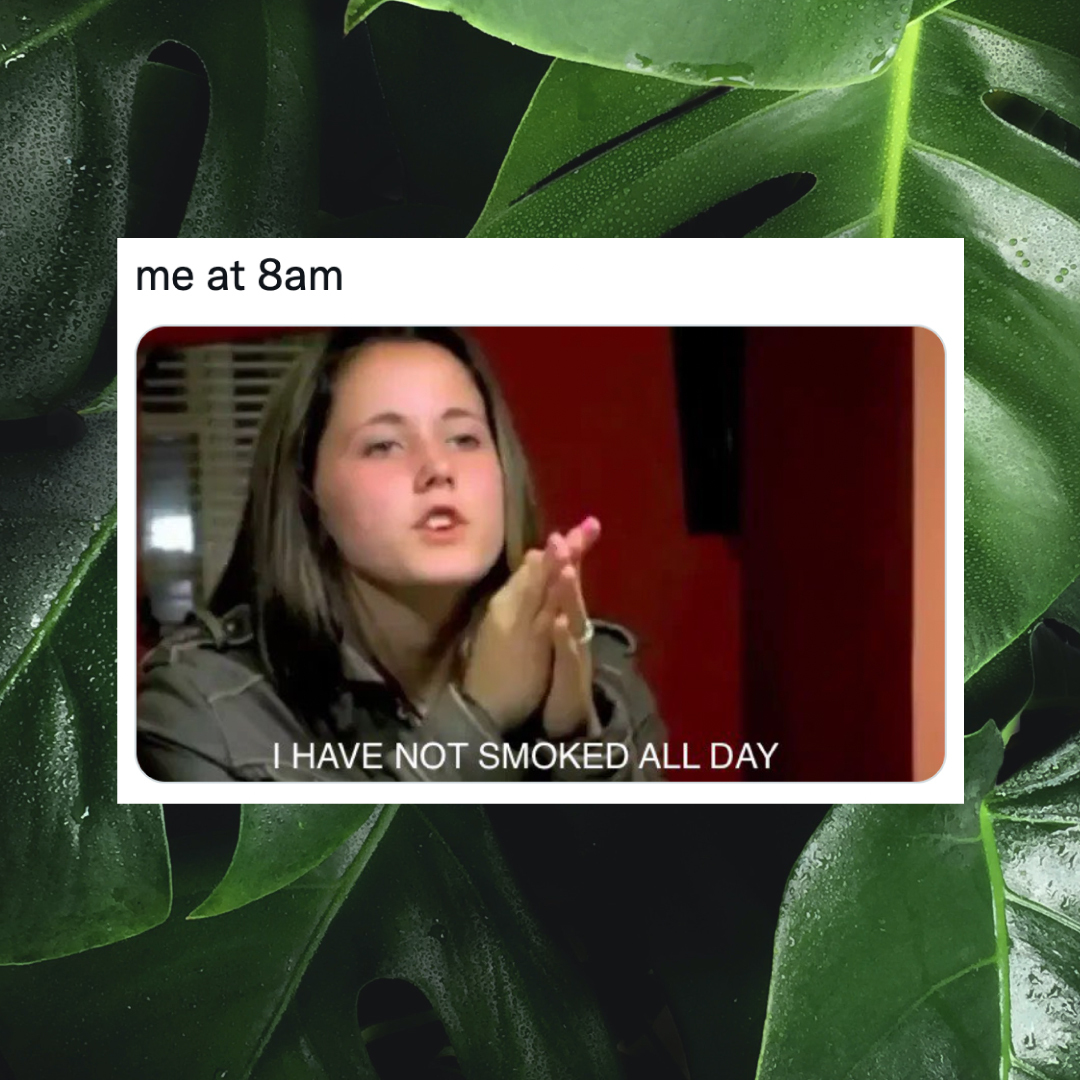 Where's Weed tweet media