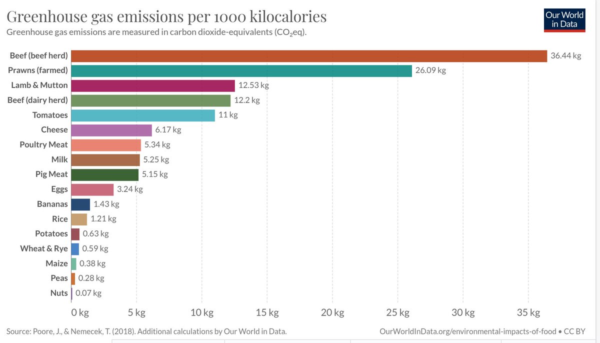 Tamar Haspel tweet media
