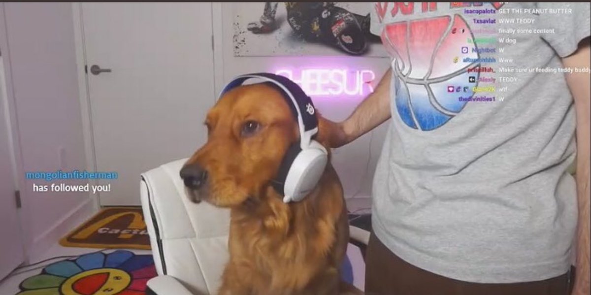Cheesur on Twitter: “Might have to do a Teddy stream. Stream revolved