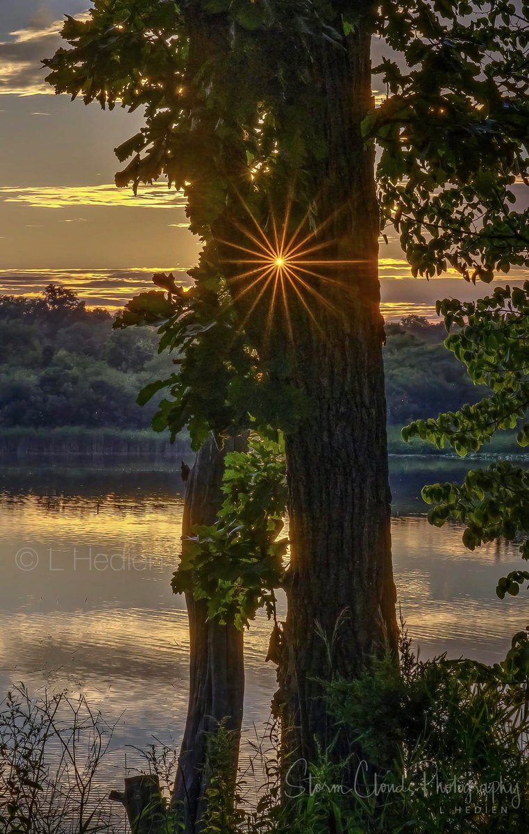 A #Wisconsin #sunflare last summer in #OttawaStatePark #lake #reflection #photography #sunset #colors #landscapephotography #nikonUSA #z7 #forest #nikonoutdoors #thephotohour #photooftheday #zcreators #hey_ihadtosnapthat #ig_myshots @riyets @discovery
