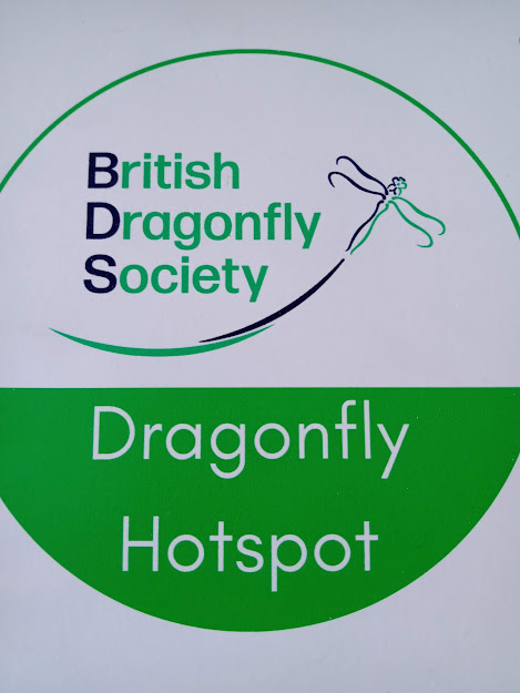 Look what arrived today! It will be great to get these disks up at our 10 #Dragonfly #Hotspots over the next few weeks! #TeamDragonfly @Marijke2710 @ForthNatureScot @AberdeenCC @anguscampaigner @angusalive @nature_scot @EvelynTweedSNP @nlcpeople @WWTCaerlaverock @argatyredkites