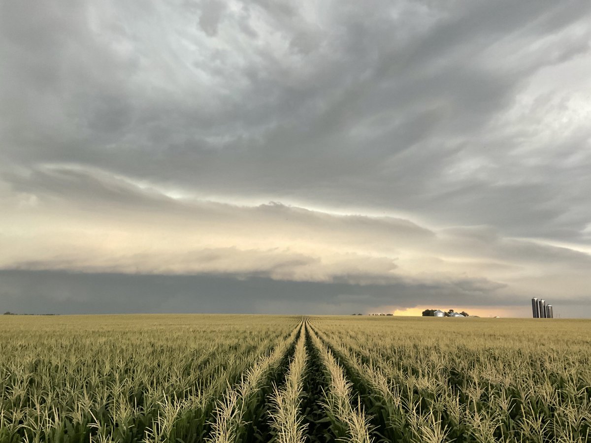 NECornBoard's tweet photo. The results are out! Congratulations to Amanda Johnson of Scribner (right) and Andy Jobman of Gothenburg (left) for being winners for NCGA’s Field of Corn Photo Contest! Learn more about the contest and winners here https://t.co/Z4aKJSmFrj.
#necorn #necga #fieldsofcorn https://t.co/SdphLFa1Uw