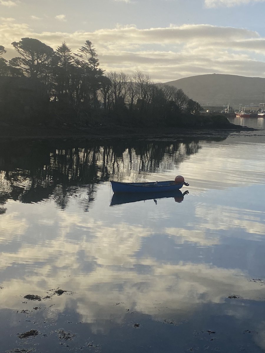 Mollkos's tweet photo. Day 30 so glad I got out early for a walk, it was just stunning #100daysofwalking @NewstalkFM Day 1491 #1500daysofwalking #365daysofwalking https://t.co/lA5CXf5FKR