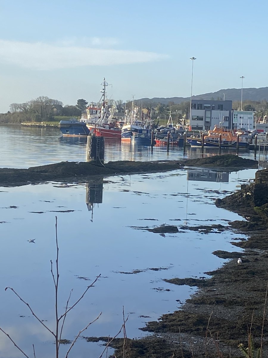 Mollkos's tweet photo. Day 30 so glad I got out early for a walk, it was just stunning #100daysofwalking @NewstalkFM Day 1491 #1500daysofwalking #365daysofwalking https://t.co/lA5CXf5FKR