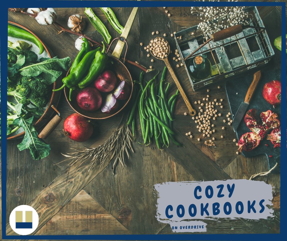 Menands Public Library tweet media