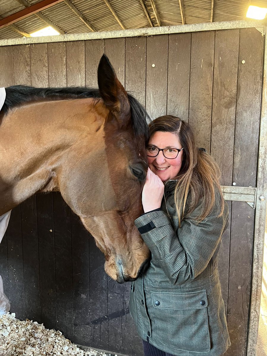 Appreciating the awesomeness that is Ahoy Senor. #thetartanhorse