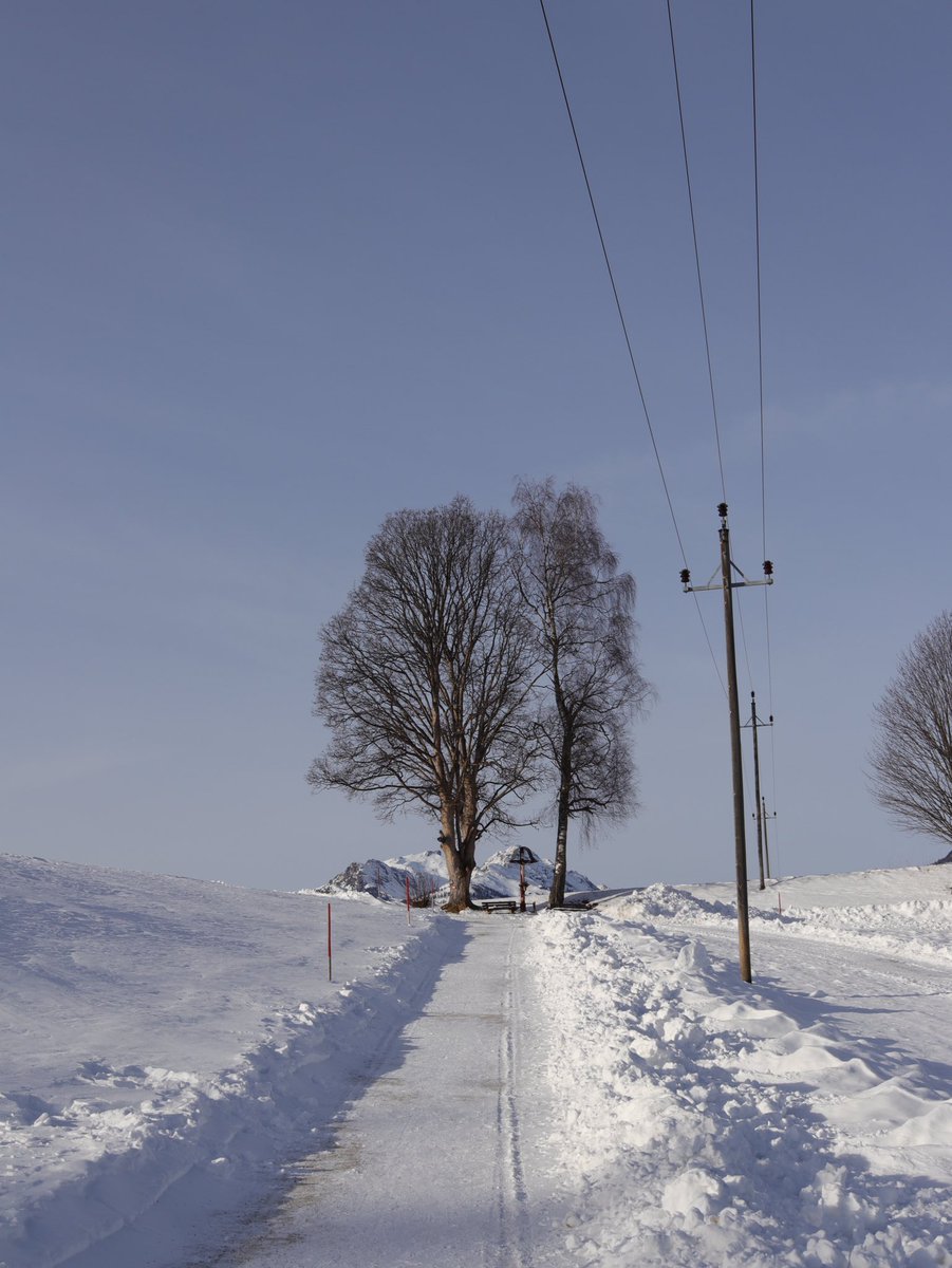 Edited this one a bit to make it more colorful

#photo #photography #snow #winter #tree #picture #landscape