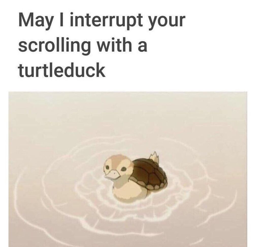 CardinalSys's tweet photo. Source: https://t.co/UnOfL8KB0V
#anime #animememe #animememes #weebs #weebstuffs #weebmemes https://t.co/4jLtg3b7e7