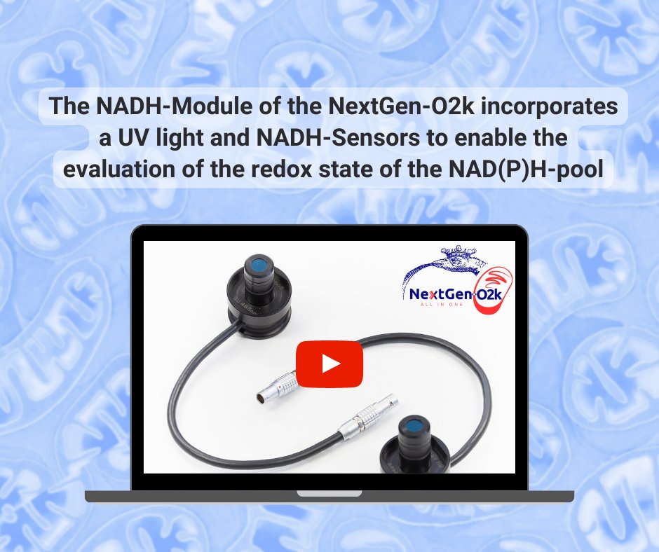 Oroboros Instruments tweet media