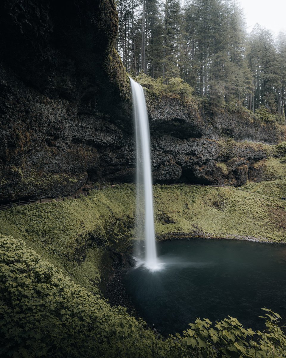 Jaime Escalera tweet media