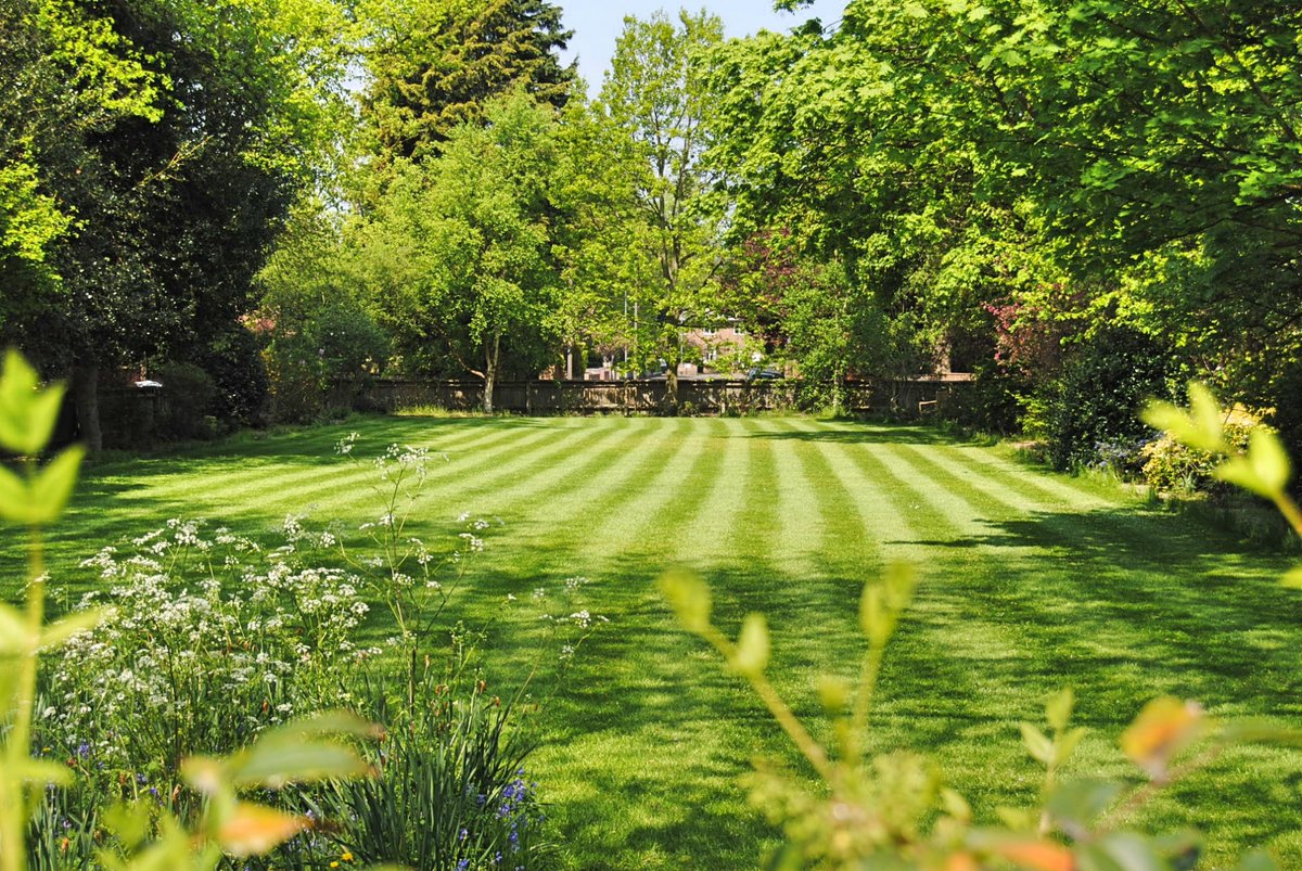 TurfKingLawn's tweet photo. Turf King Lawn Experts Offers an Annual Budget Lawn Care Program which involves 5 visits:
1 - Spring Fertilizing
2 - Summer Fertilizing
3 - Fall Fertilizing
4- Fall Weed Management<br... more at https://t.co/F32LjvIC3k https://t.co/Sz4bOEgPm6