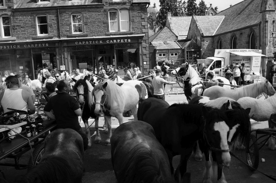 APPLEBY. 
Horses and a carpet shop.
#Appleby #ApplebyHorseFair #Cumbria #Horses #streetphotography #blackandwhitephotography