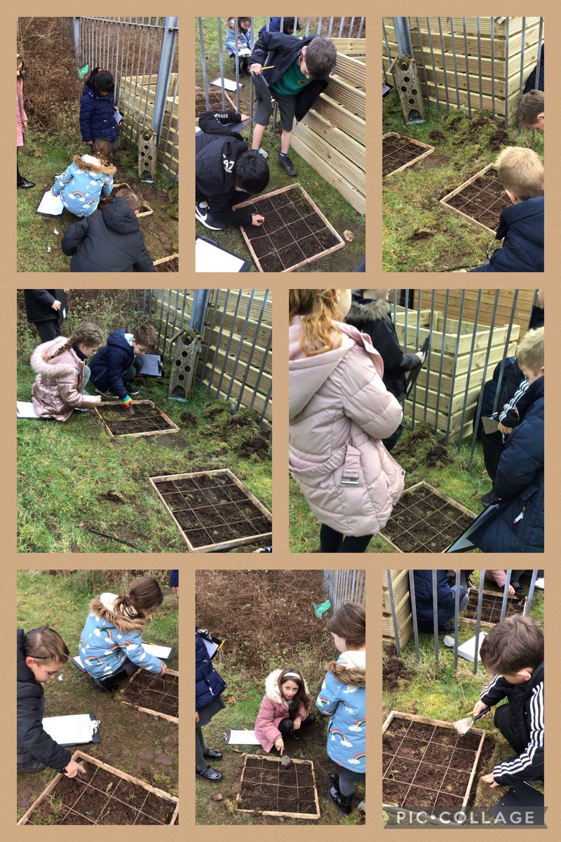 Year3TPS's tweet photo. We also had a go at being archaeologists! #outdoorlearning #Hu https://t.co/OAN6w4BVVx