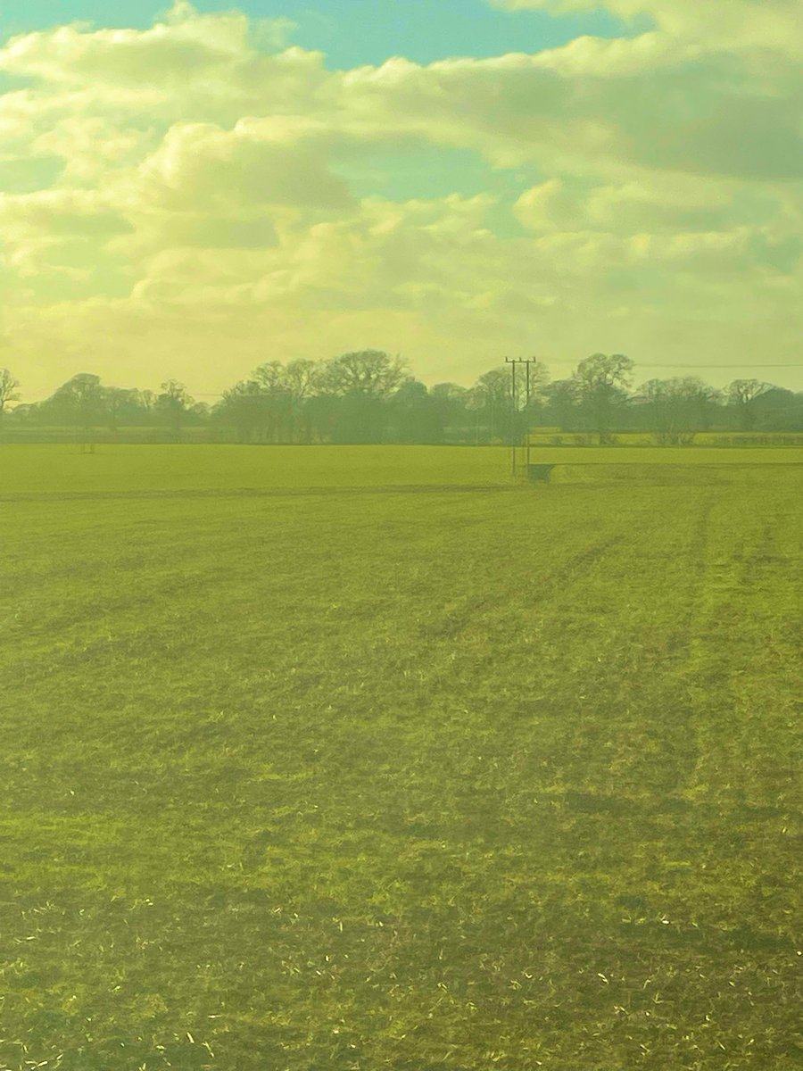 Jamie John tweet media