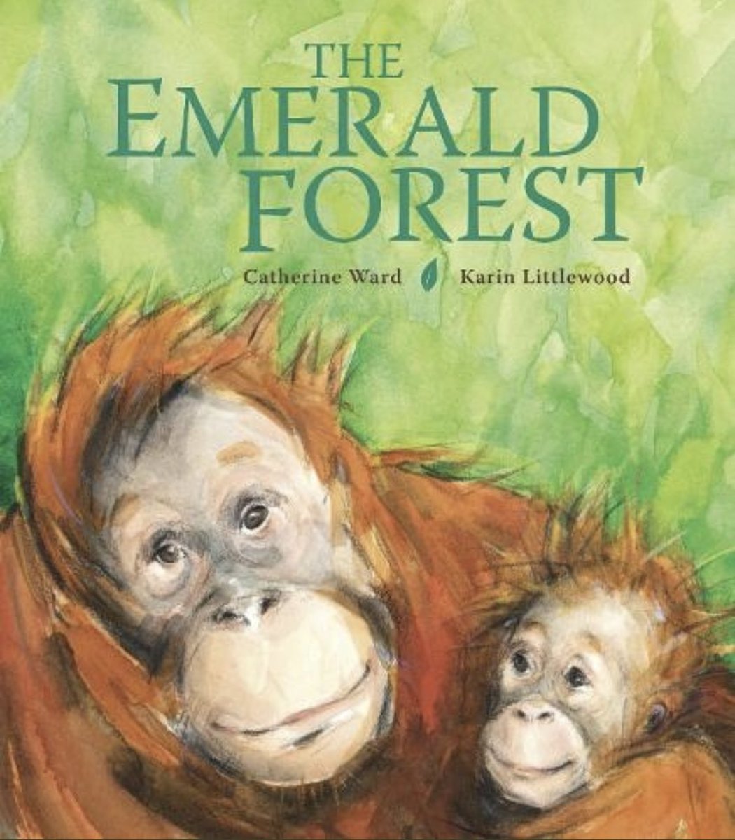 There’s a great new review on the #BooksThatHelp site for The Emerald Forest by @CatherineWard0 and #KarinLittlewood. 

booksthathelp.co.uk/the-environment

@ClareHelenWelsh