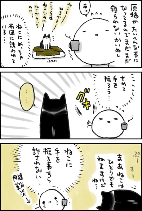 ごめんねねこ わたしはまだ寝れません 