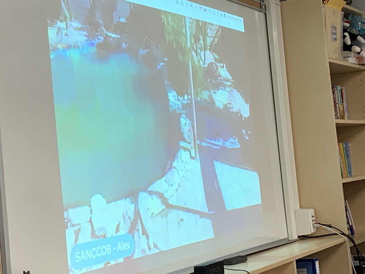 MissLiu_VIO's tweet image. We began this morning visiting with @SANCCOB in Cape Town this morning! We got a behind the scenes look at how the organization operates and learned about how they are helping penguins and other injured seabirds! What a valuable experience with @EBTSOYP ! @MsHearn_VDPS