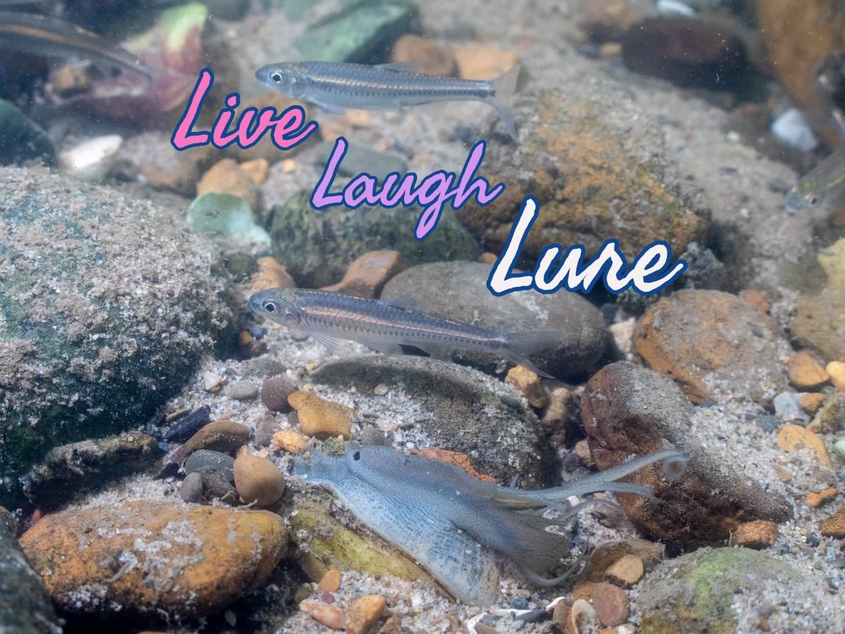 USFWS's tweet photo. In 2023, live, laugh, lure them in with your fleshy mantle. https://t.co/iIiTBFHn3R