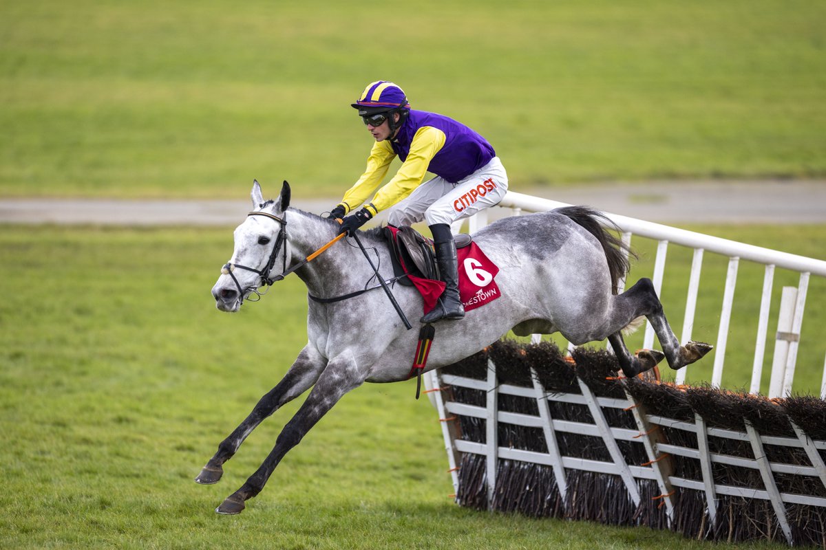 RacingPost's tweet photo. Princess Zoe jumping a hurdle 😍 https://t.co/ERrEAOXLo5