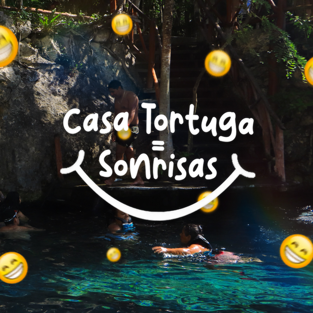 BEecotourism's tweet photo. Viajando por México me encontré @CasaTortuga_: 'No hay mejor lugar que #cenotes #casatortuga para despejar tu mente y esparcir sonrisas.😁💚

Te esperamos todos los días de 9:00 a 5:00.

#quintanaroo #mexico #vacaciones… https://t.co/nrIN9wrCez, see more https://t.co/Z6TwVHgouw