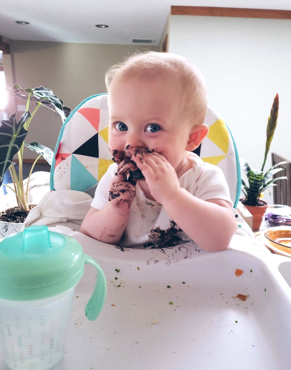 First taste of <a href="/Oreo/">OREO Cookie</a> *obsessed*