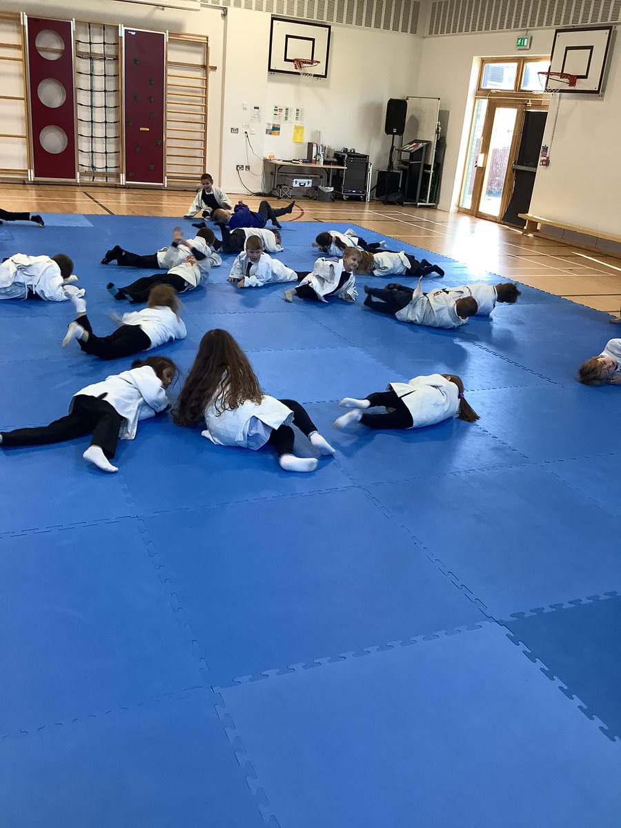 MrsMacaulayCPS's tweet photo. Primary 1 enjoyed a taster session of judo today with Destination Judo! @carmondean_ps #judo https://t.co/XFg3FV72DQ