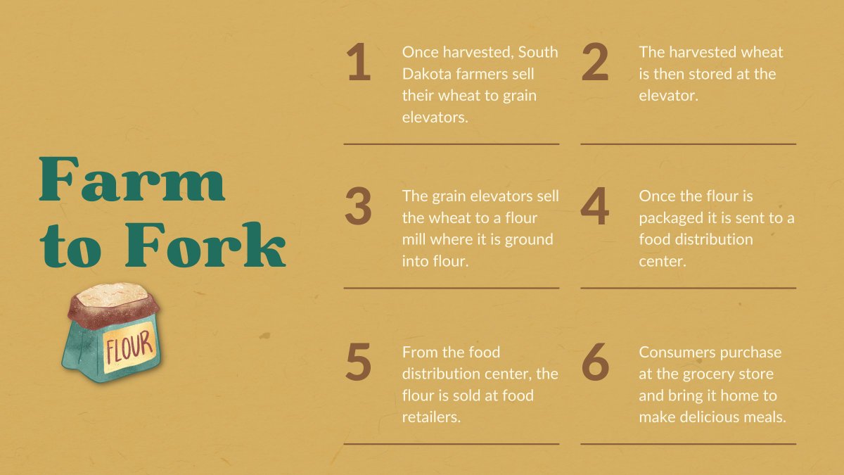 wheatsd's tweet photo. See the steps of how #wheat is harvested from the field to how it ends up as bread on your plate. 🌾🍞
#sdwheat #eatwheat https://t.co/JaiyuNpkqw
