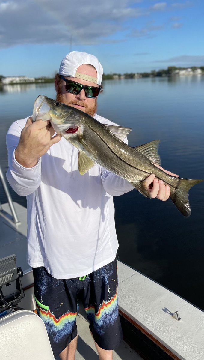LETSGOFishingTV's tweet photo. Great success 💪 #LGFTv
..top water lure; missed it three times before I got her to bite🎣
#Snook #TopWater #FLALife https://t.co/pJSQkJfPAS