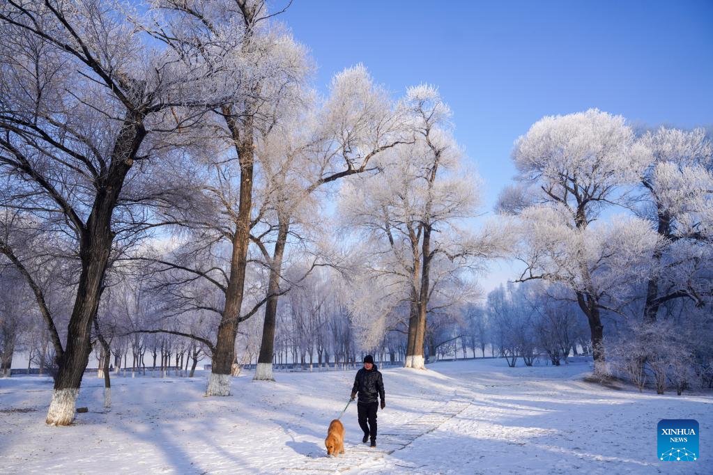 PDChina's tweet photo. In pics: Charming rime scenery near the Songhua River in Jilin City, NE China's Jilin Province. https://t.co/25CvzQAyG9