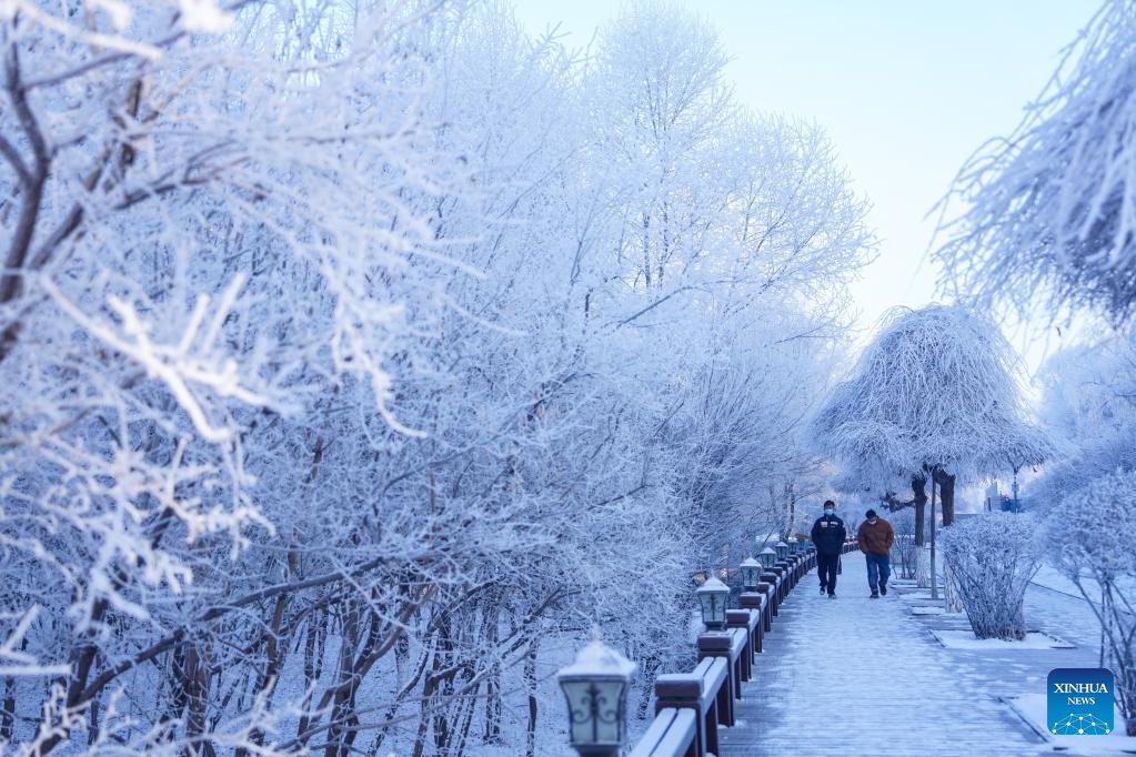 PDChina's tweet photo. In pics: Charming rime scenery near the Songhua River in Jilin City, NE China's Jilin Province. https://t.co/25CvzQAyG9