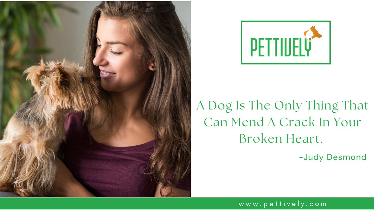 pettively's tweet photo. A Dog Is The Only Thing That Can Mend A Crack In Your Broken Heart. -Judy Desmond

https://t.co/T1p0zF6xso 

#petfunfact #petfact #petfun #pet #petquote #petcare #petdog #productsblog #petproblems #benefitsof #petsafety #pettivelypet #petproducts #Dog #PetQuotes https://t.co/dx1L45Ex1H