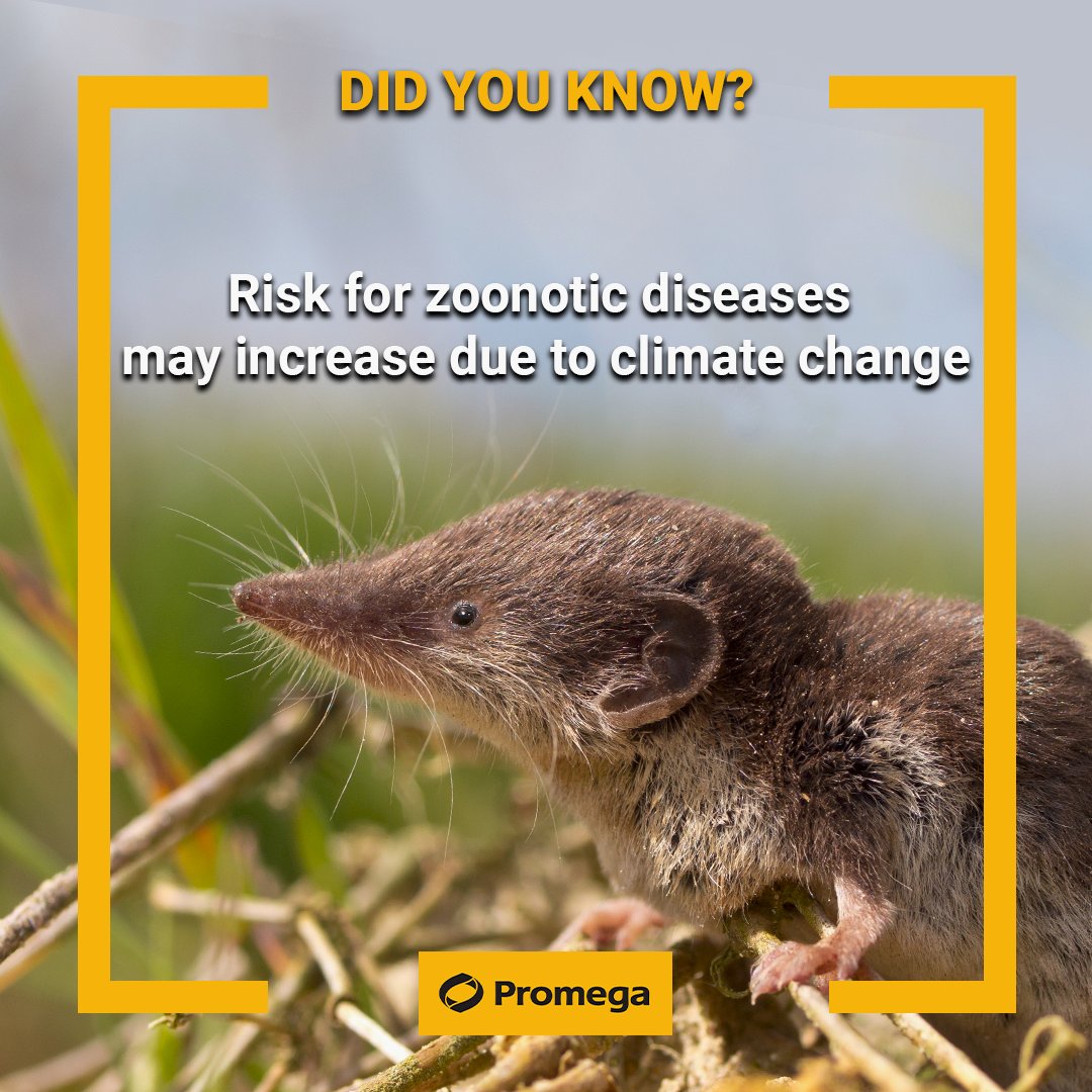 The researchers assume that many animals need to leave their previous habitats due to climate change and thus spread the pathogens further.
Read more: nature.com/articles/s4158…