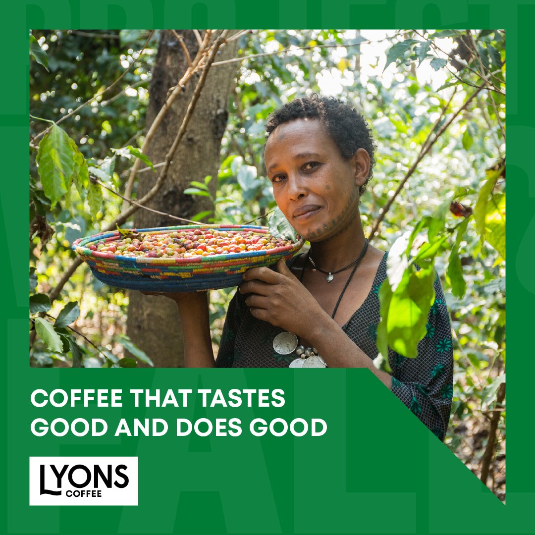 LyonsCoffee tweet media