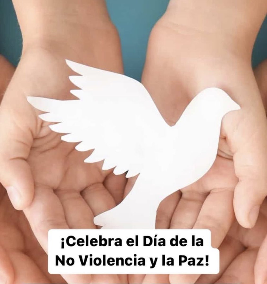 AnpasDe's tweet photo. https://t.co/F4ecQTdATl