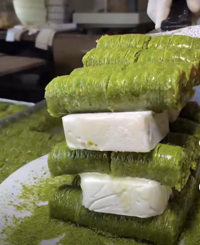 Amer Zeidan MBBS,MHS عامر زيدان tweet media