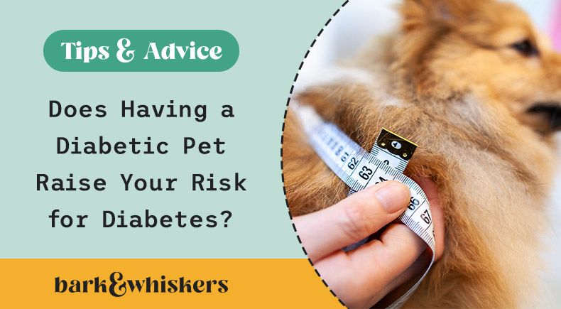 drkarenbecker's tweet photo. If your dog is diagnosed with diabetes, it’s not a guarantee that you’re next, but it may serve as motivation for everyone in the household to make healthier lifestyle choices. 🫶 

Learn how to reduce your and your dog’s risk of diabetes here: https://t.co/9WleFJt4ls https://t.co/HO88Gx3mux