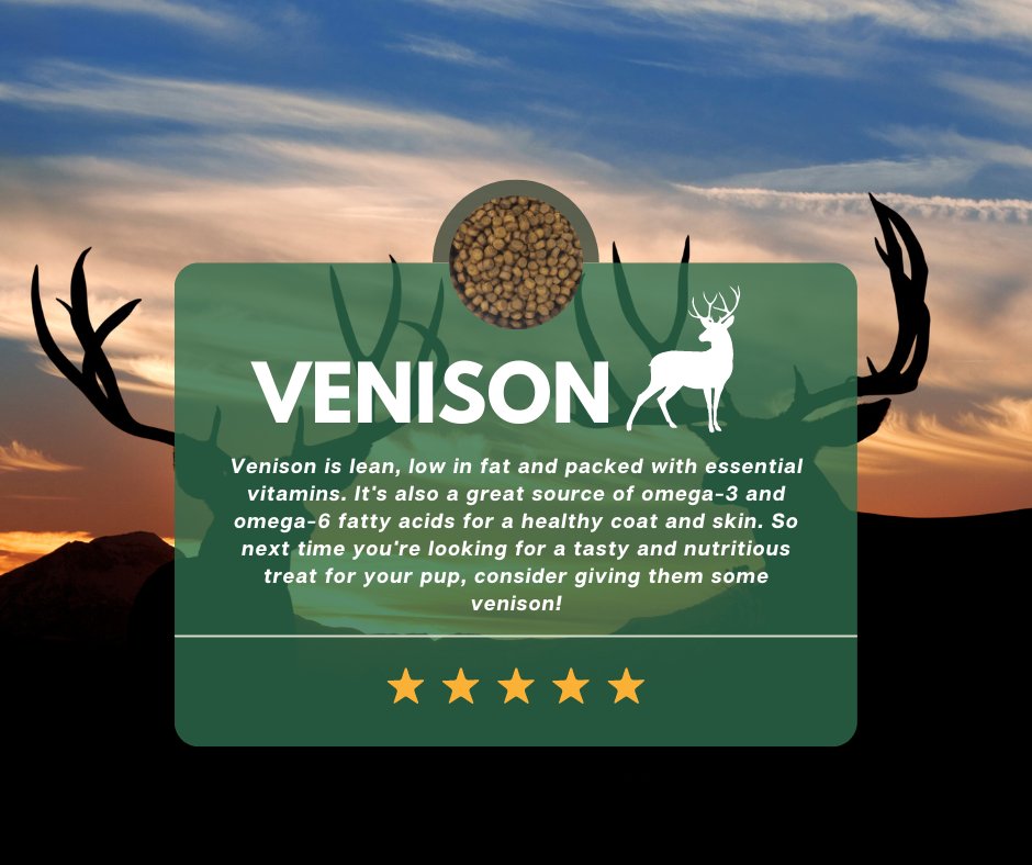 Timberwolfpet_'s tweet image. Did you know that proteins like venison are great options for dogs with food sensitivities? Instinctive proteins provide essential nutrients that cater to your pet's instinstice appetite. #DogFood #Venison #FoodSensitivities