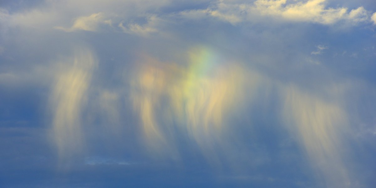 CloudCup2's tweet photo. Virga (left), Cirrus Homomutatus clouds (right) https://t.co/XRjE0ME2G6