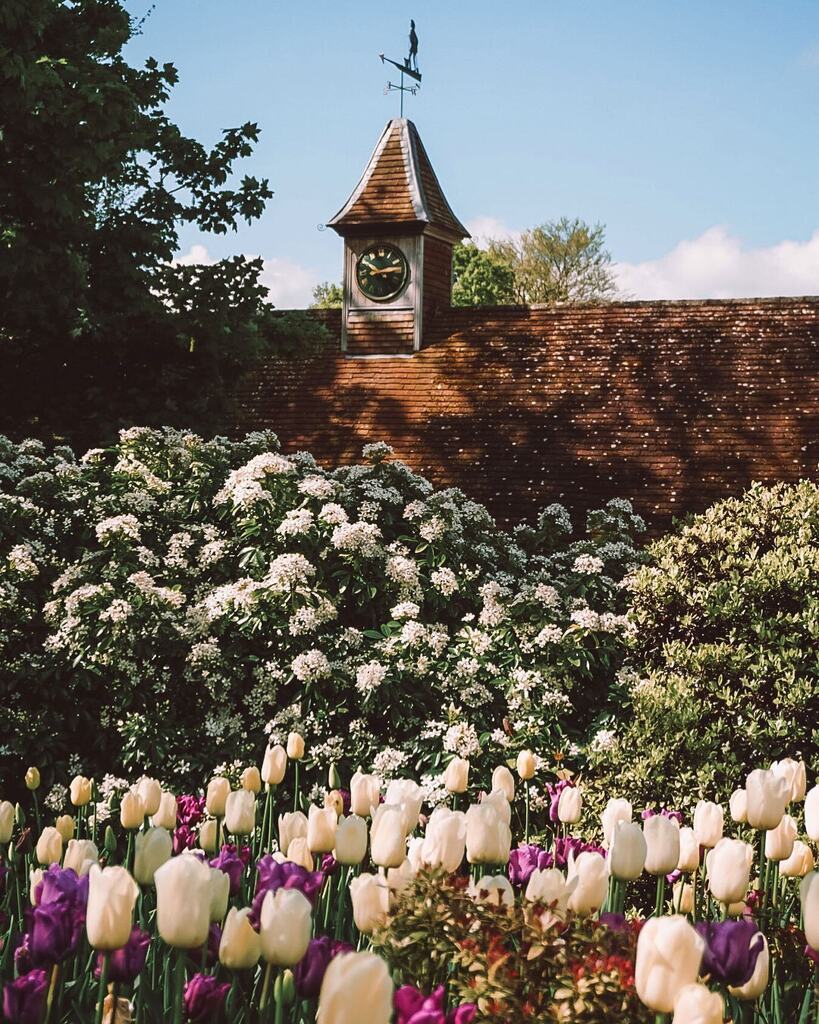 Peachesandpeon1's tweet image. Today feels so much like Spring, the hills look green and the sky is a lovely bright blue. Happy Monday 

#escapetothecountry #escapetothecountryside #mycountrylife #countryliving #countrylivingmag #countrylivingmagazine #ig_countryside #verandamag #vict… instagr.am/p/CoCyKU_szaD/