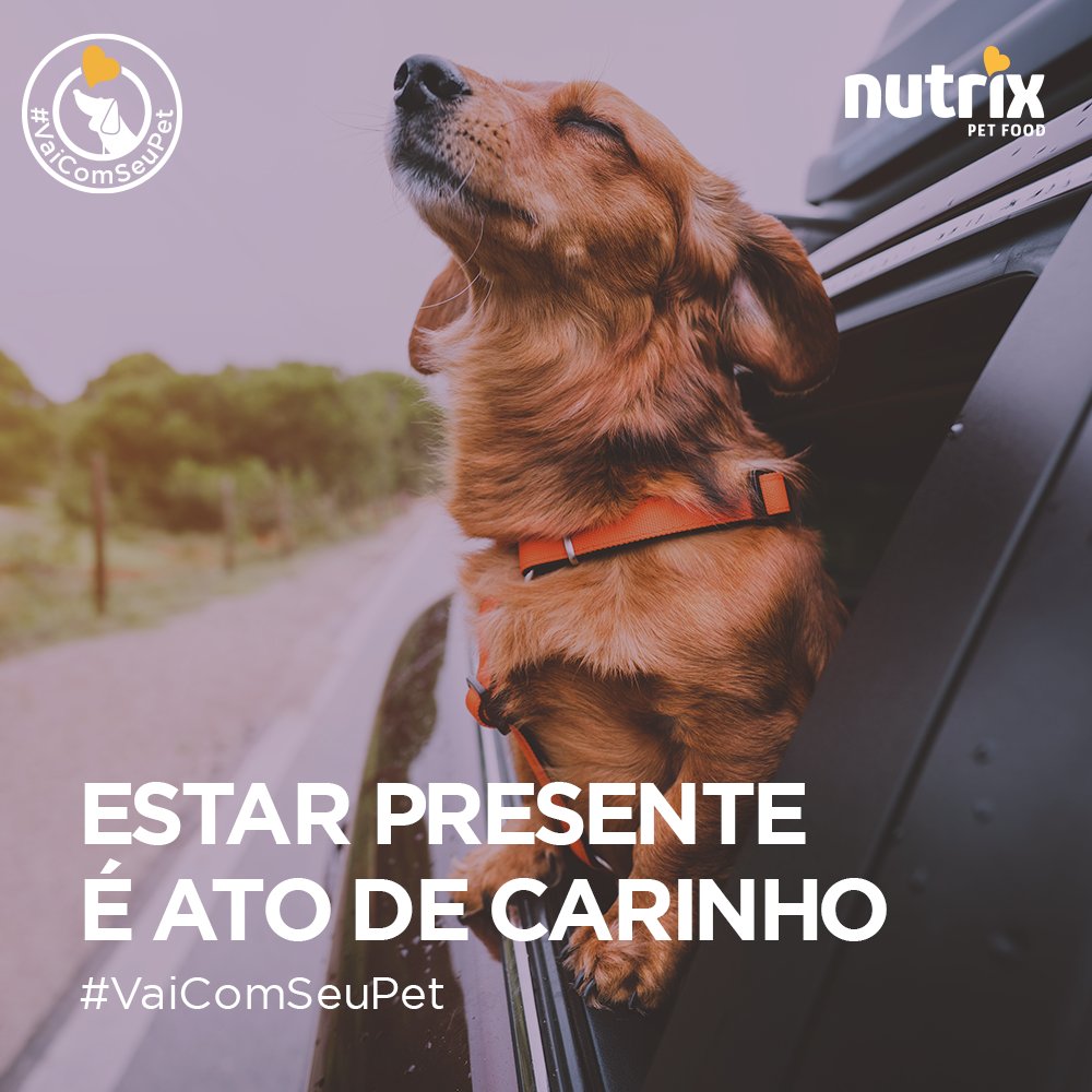 NutrixPetFood's tweet photo. Divida os melhores momentos com quem nunca te abandona: Seu Pet! Esteja presente em cada ir e vir, seja onde for, #VaiComSeuPet 💜💛

#nutrixpetfood #nutrix #uniaosmartfoods #alimentocompleto #pet https://t.co/RdDUR63S3J