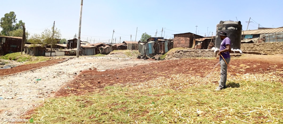 KombGreen's tweet photo. #GreenSpaces
Therefore, the first watering of your new lawn should be right after it's Laid..
#GreeningTime #NairobiRiverRehabilitation https://t.co/e5KTpZjr79