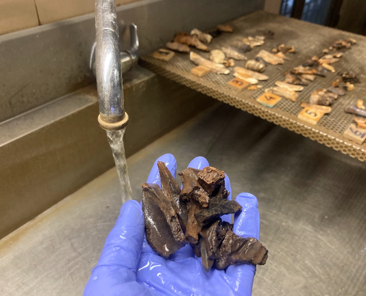 PalaeoTo1's tweet photo. #progettoAPICI #fondazionecrt #museirealitorino #unito #dbios #archeology #archaeologylovers #archaeologylab #palaeoproteomics #fermentation @MuseiRealiTo @PalaeoTo1
Unveiling complex biographies using the informative potential of biomolecules: Apici/Bones Project’s main goal https://t.co/q23iPxWwuk