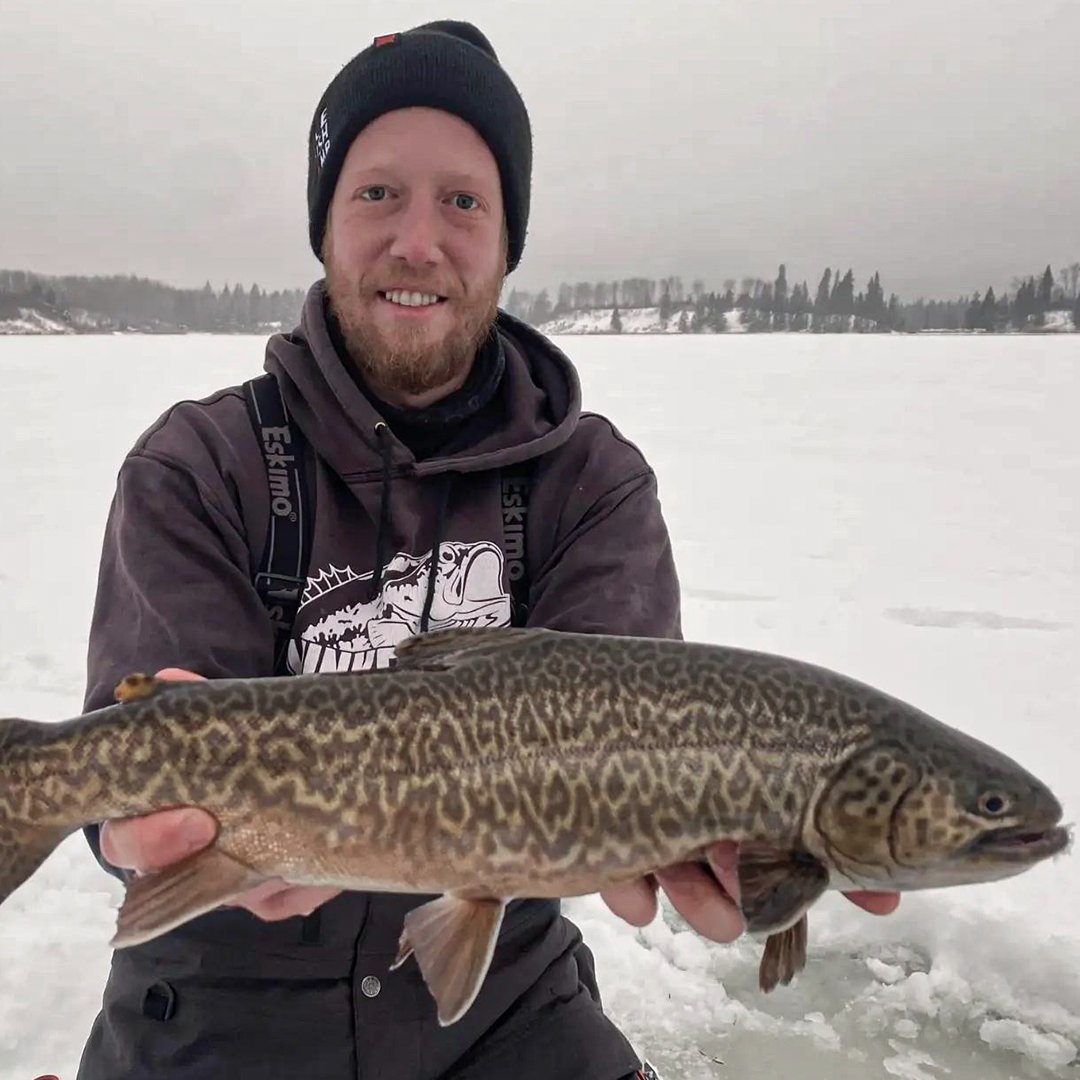 Lunkerhunt_fish's tweet photo. From the icy depths below
#CatchBigFish #IceFishing #FishingDaily
@ https://t.co/if7seflriQ